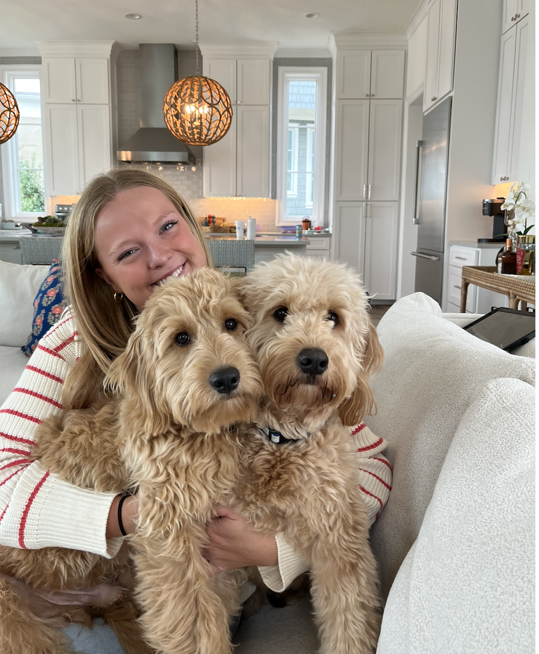 Beans and Bo the Mini Goldendoodles